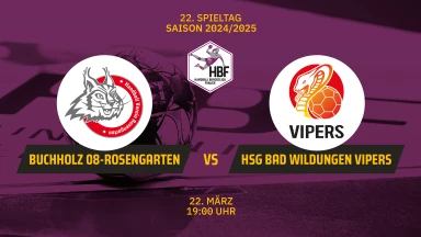 2. HBF: HL Buchholz 08-Rosengarten vs. HSG Bad Wildungen Vipers