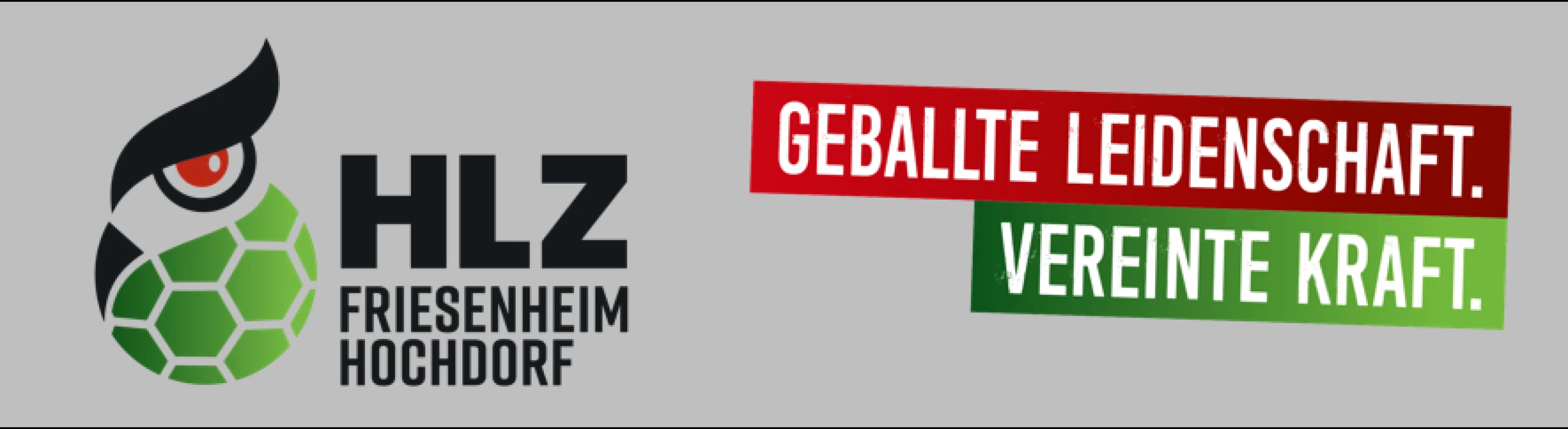HLZ Friesenheim-Hochdorf Männer II