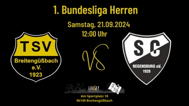 1. Bundesliga 120 Männer: TSV Breitengüßbach -  SC Regensburg