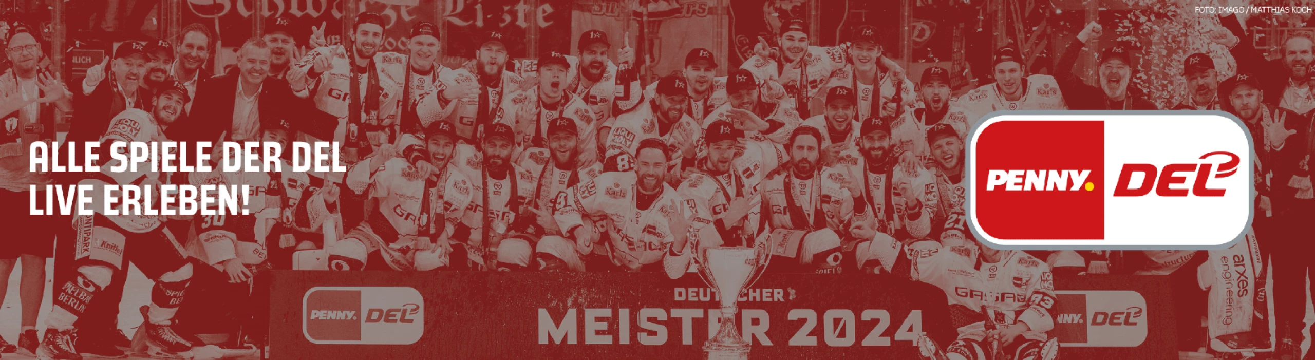 Deutsche Eishockey Liga