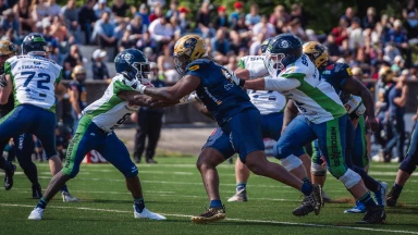 Special: Dresden Monarchs vs. Straubing Spiders Viertelfinale