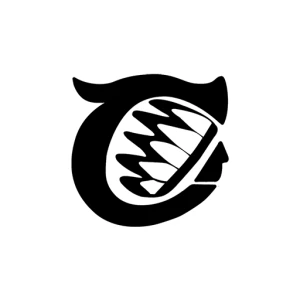TSV 1863 Trostberg, Abteilung Eishockey (Chiefs)