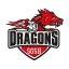 SGSH Dragons Männer
