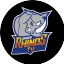 Baden Rhinos Tv