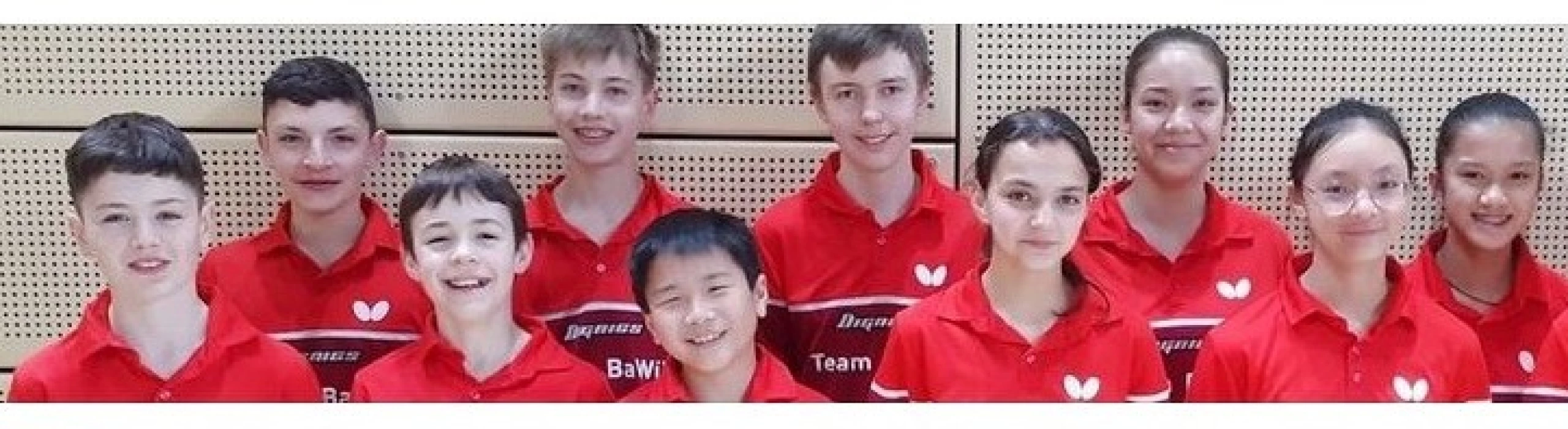 Tischtennisverband Baden-Württemberg e.V. (TTBW)