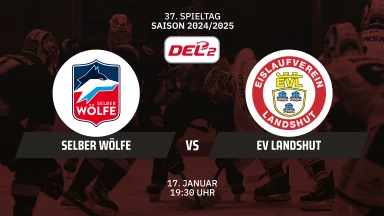 DEL2: Selber Wölfe vs. EV Landshut