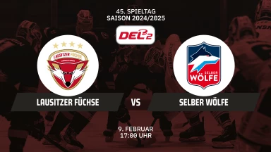 DEL2: Lausitzer Füchse vs. Selber Wölfe