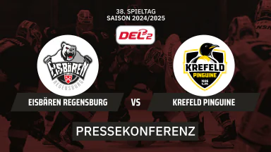 DEL2: Eisbären Regensburg vs. Krefeld Pinguine | Pressekonferenz