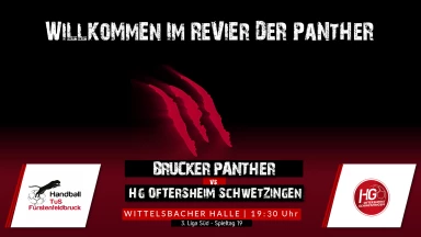 3. Liga: Staffel Süd - TuS Fürstenfeldbruck vs. HG Oftersheim/Schwetzingen
