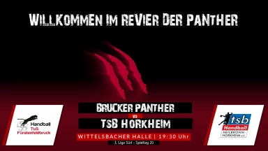 3. Liga: Staffel Süd - TuS Fürstenfeldbruck vs. TSB Heilbronn-Horkheim
