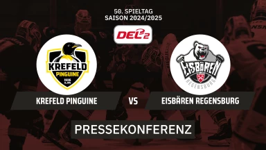 DEL2: Krefeld Pinguine vs Eisbären Regensburg | Pressekonferenz