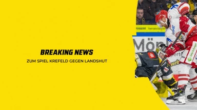 NEWS-Stream: Zum Spiel Krefeld gegen Landshut
