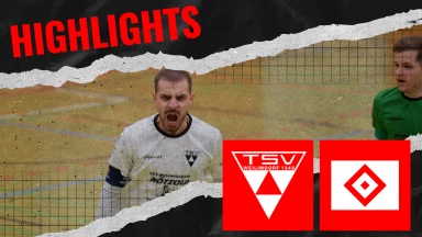 HIGHLIGHTS | TSV Weilimdorf - Hamburger SV | FUTSAL-BUNDESLIGA