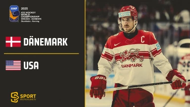 Dänemark vs. USA - Gruppe  B - kommentiert von Tobi Fischbeck