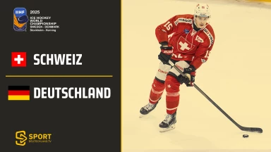 Schweiz vs. Deutschland - Gruppe B - kommentiert von Christoph Fetzer