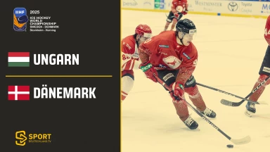 Ungarn vs. Dänemark - Gruppe B