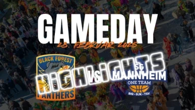 Highlights: Black Forest Panthers vs. SG Mannheim