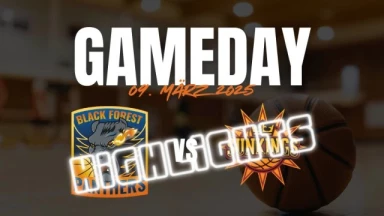 Highlights: Black Forest Panthers vs. Sunkings Saarlouis