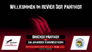 3. Liga: Staffel Süd - TuS Fürstenfeldbruck vs. SV Salamander Kornwestheim