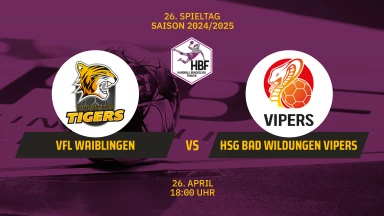 2. HBF: VfL Waiblingen vs. HSG Bad Wildungen Vipers