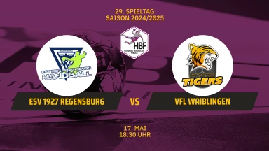 FOR FREE - 2. HBF: ESV 1927 Regensburg vs. VfL Waiblingen
