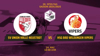 2. HBF: SV Union Halle-Neustadt vs. HSG Bad Wildungen Vipers