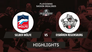 DEL2 Playdowns: Selber Wölfe vs. Eisbären Regensburg - Spiel 2 I Highlights