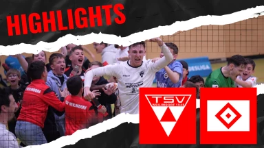 HIGHLIGHTS | TSV Weilimdorf - Hamburger SV | FUTSAL-BUNDESLIGA