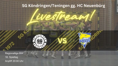 SG Köndringen/Teningen gg. HC Neuenbürg