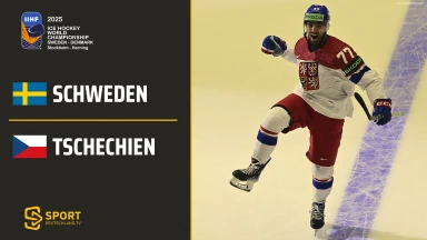 Schweden vs. Tschechien - Viertelfinale - kommentiert von Tobi Fischbeck