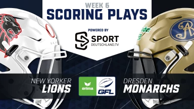 GFL: Heiße Temperaturen bringen Monarchs on Fire!