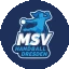 msv handball dresden