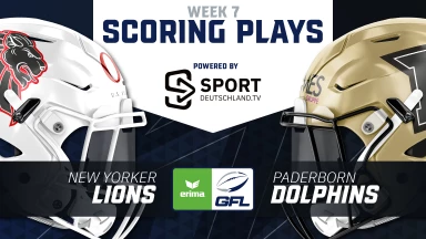 GFL: Keine Kompromisse in Braunschweig!