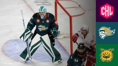 CHL: Belfast Giants vs. Ilves Tampere - Hauptrunde