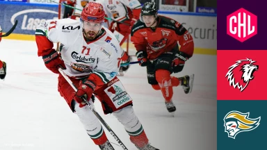 CHL: Lausanne HC vs. Belfast Giants - Hauptrunde