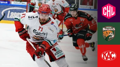 CHL: Odense Bulldogs vs. KAC Klagenfurt - Hauptrunde