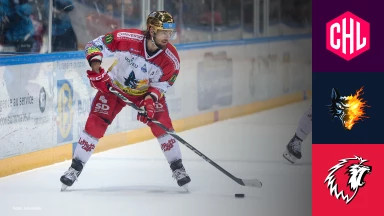 CHL: Grenoble vs. Lausanne HC - Hauptrunde