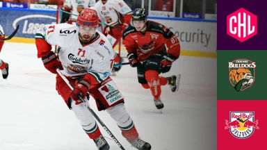 CHL: Odense Bulldogs vs. Red Bull Salzburg - Hauptrunde