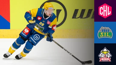 CHL: Storhamar Hamar vs. Pinguins Bremerhaven - Hauptrunde - kommentiert von Christoph Fetzer