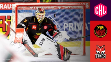 CHL: Luleå Hockey vs. HC Bolzano - Hauptrunde