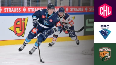 CHL: ERC Ingolstadt vs. Odense Bulldogs - Hauptrunde - kommentiert von Tobi Fischbeck