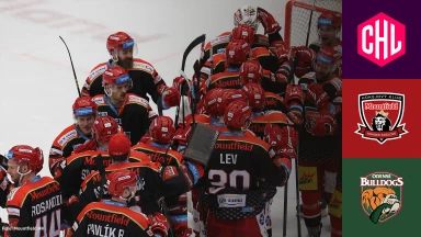 CHL: Mountfield HK vs. Odense Bulldogs - Hauptrunde