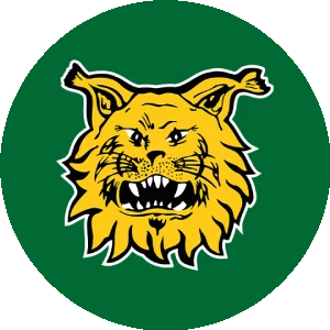 Ilves Tampere
