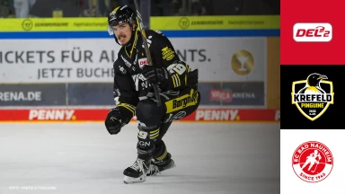 DEL2: Krefeld Pinguine vs. EC Bad Nauheim