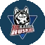 EC Kassel Huskies