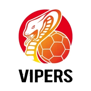 HSG Bad Wildungen Vipers