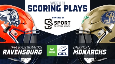 GFL: Schocken Comeback-Kids aus Ravensburg Tabellenführer Dresden?