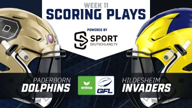 GFL: Die Aufholjagd der Paderborn Dolphins