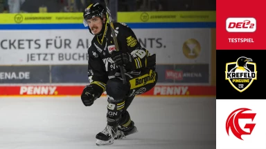 DEL2 Testspiel: Krefeld Pinguine vs. Les Gothiques d'Amiens