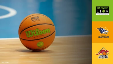 ProB Nord: Seawolves Academy vs. Iserlohn Kangaroos